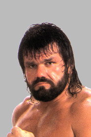 Steve Williams portrait