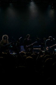 TheVeilers
