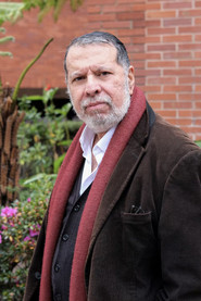 Ibsen Martínez