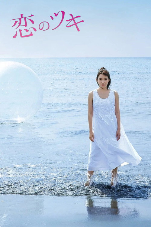 Love and Fortune poster