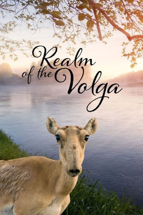 REALM