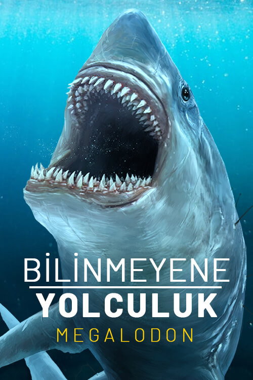 Expedition Unknown Megaladon