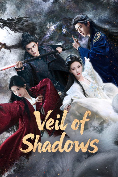 Veil poster