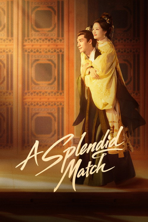 A Splendid Match poster