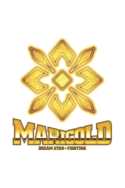 Dream Star★Fighting Marigold