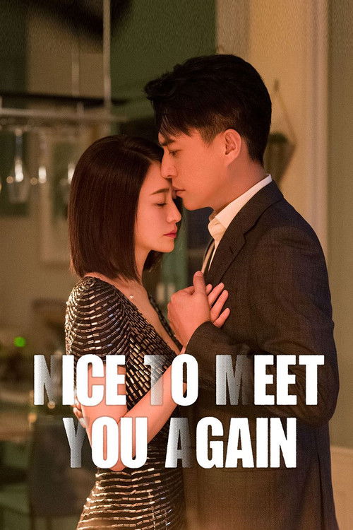 Nice To Meet You poster