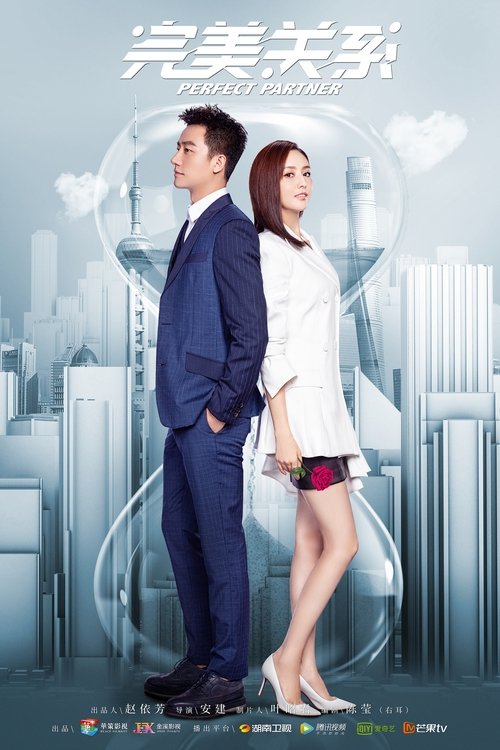 Perfect Partner poster