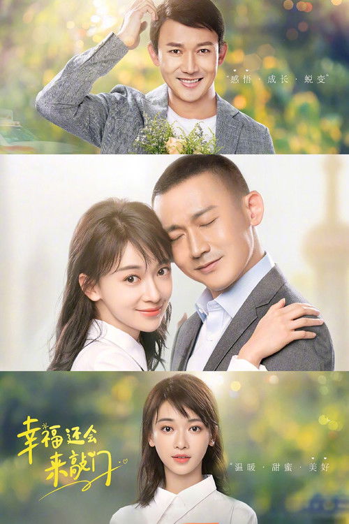 Happiness Will Come Knocking Again poster