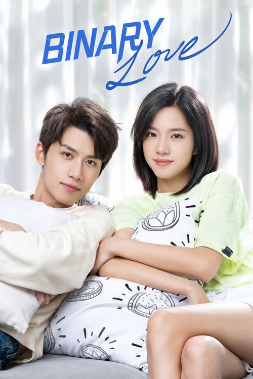 Binary Love poster