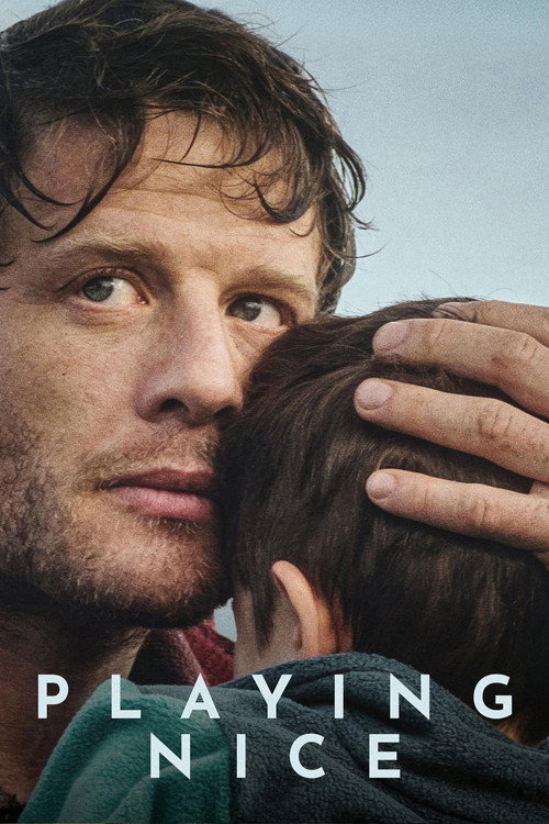 Playing Nice poster