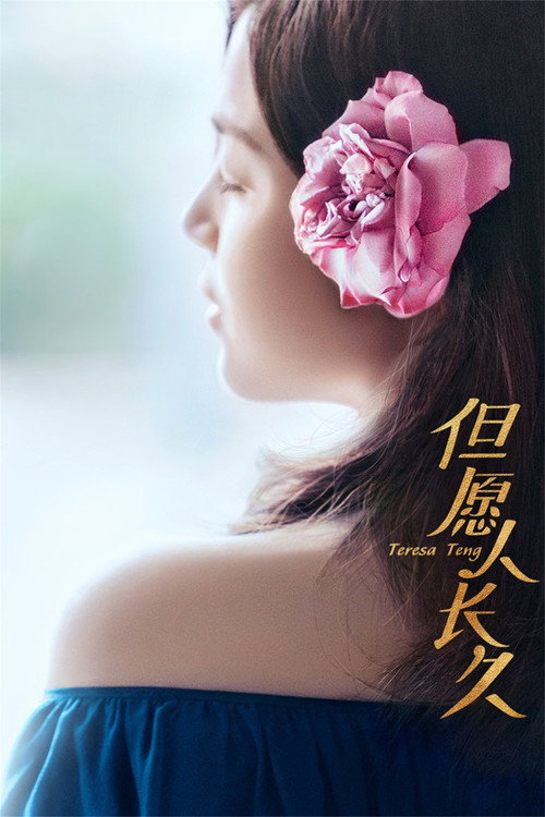 Fly Me to the Moon poster