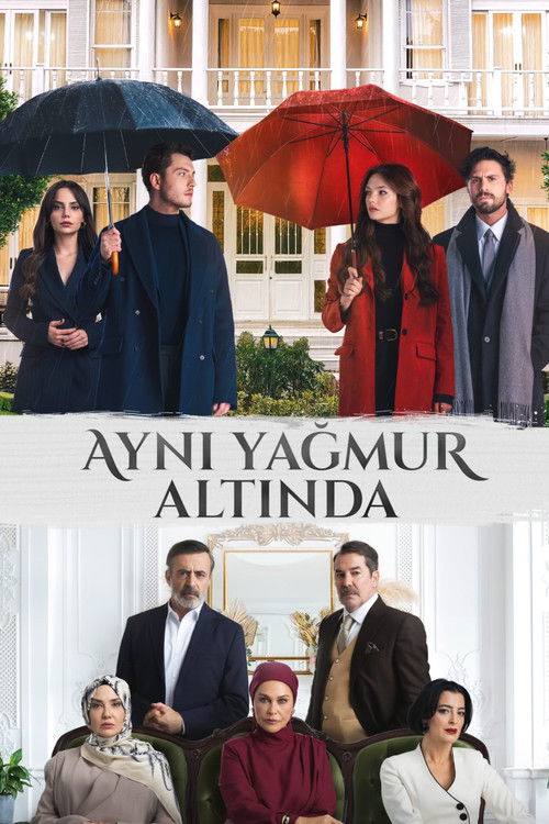 Under the Same Rain poster