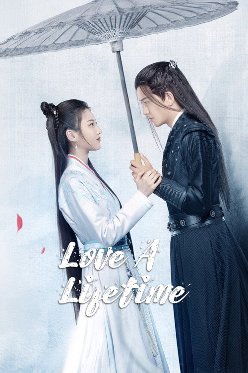 Love a Lifetime poster