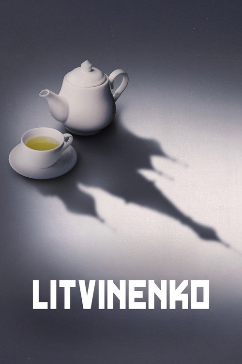 Litvinenko poster