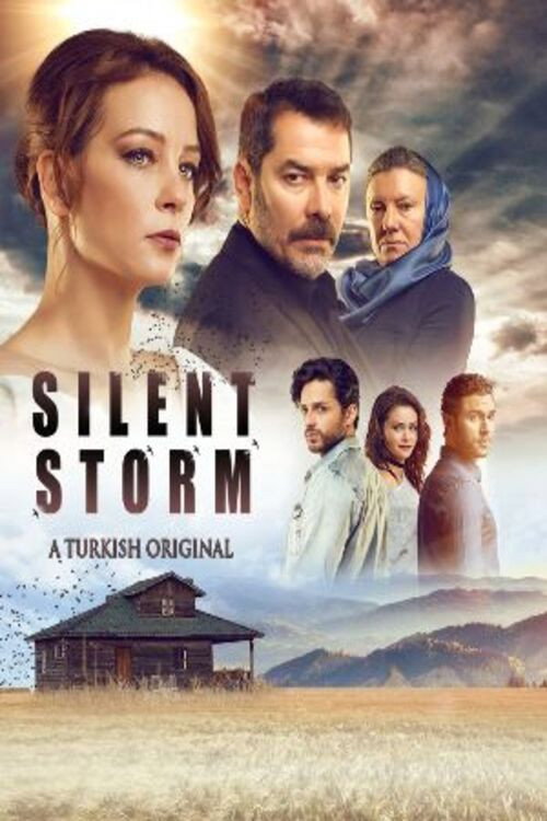 Swallow Storm poster