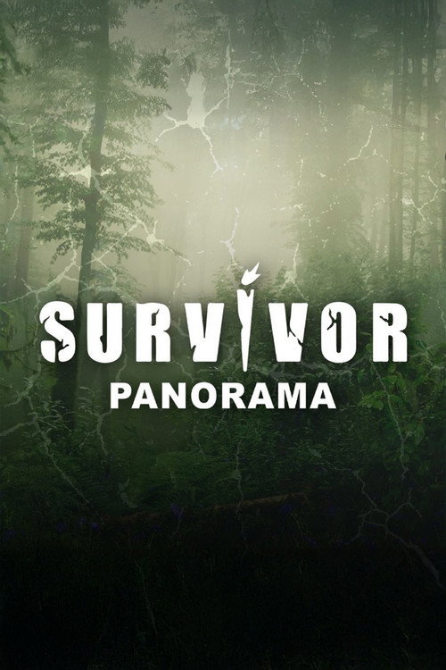 Survivor Panorama poster