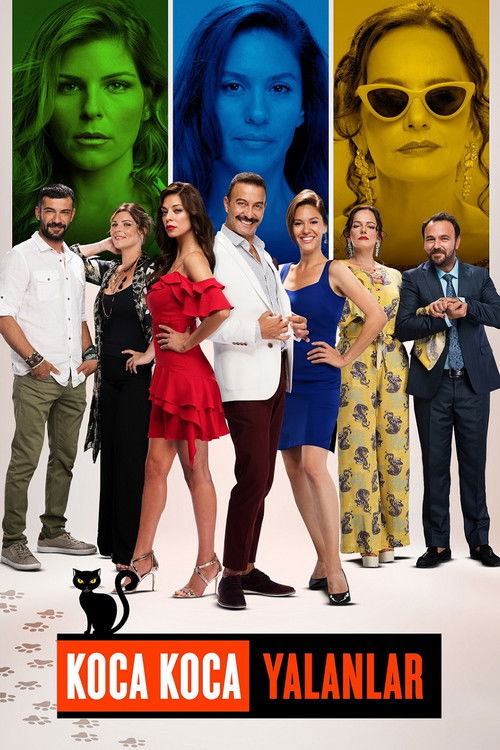 Koca Koca Yalanlar poster