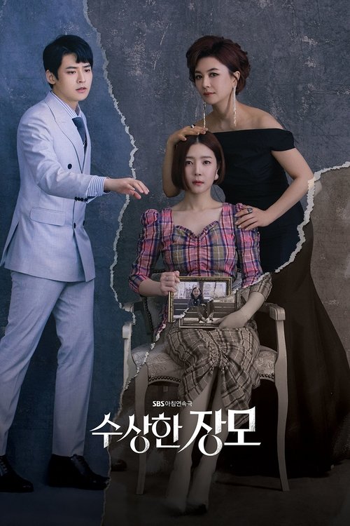 Shady Mom-in-Law poster
