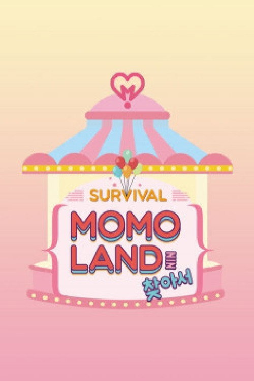 Finding Momoland poster