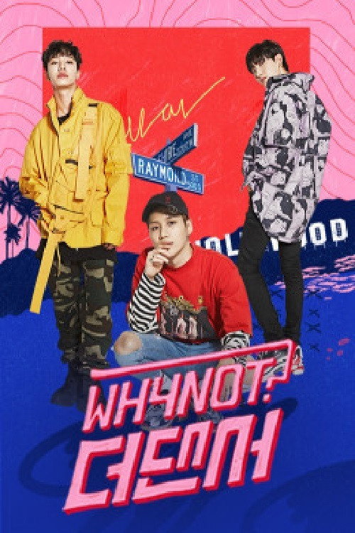 Why Not? The Dancer poster