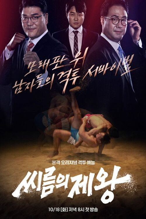 The King of Ssireum poster