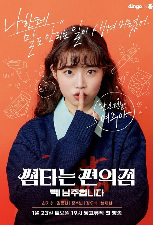 Convenience Store Fling poster