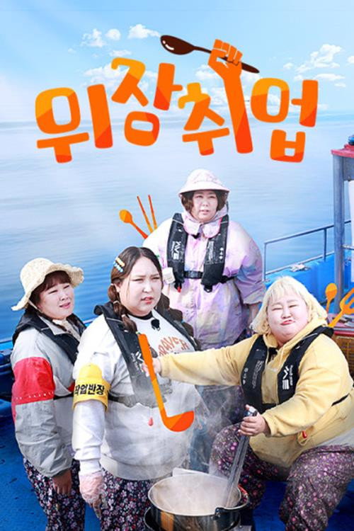 Undercover Food Fighters poster