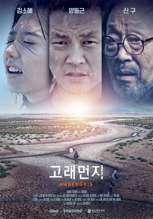 Ambergris poster