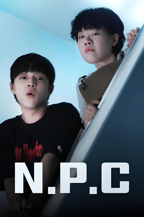 Non Player Character poster