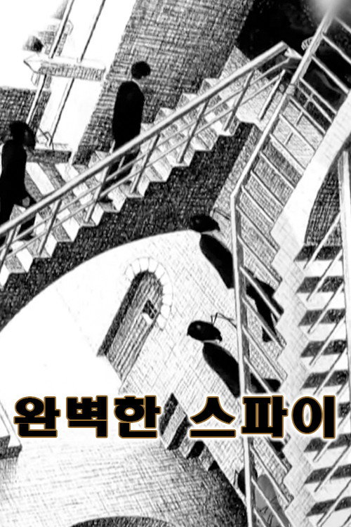 Perfect Spy poster