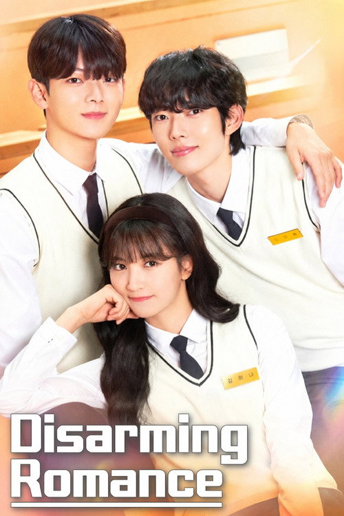 Disarming Romance poster