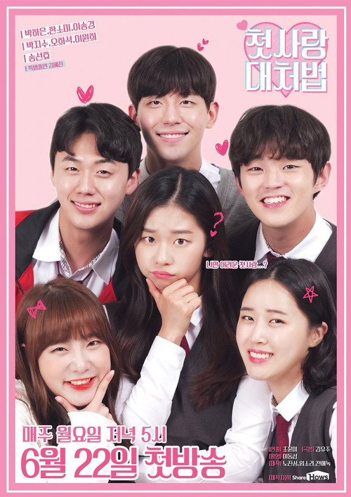 How to Deal With First Love poster