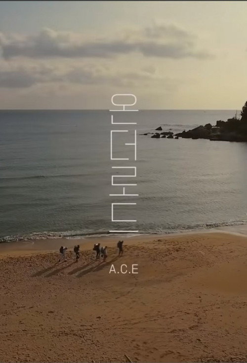 A.C.E On The Road poster
