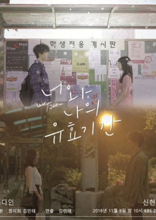 The Expiration Date of You and Me poster