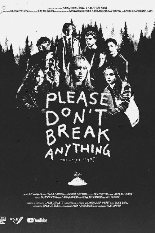 Please Don’t Break Anything poster