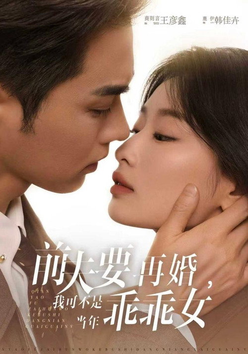 Remarriage With a Big Surprise poster