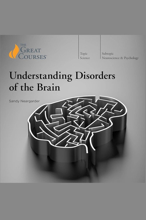 Understanding Disorders of the Brain poster