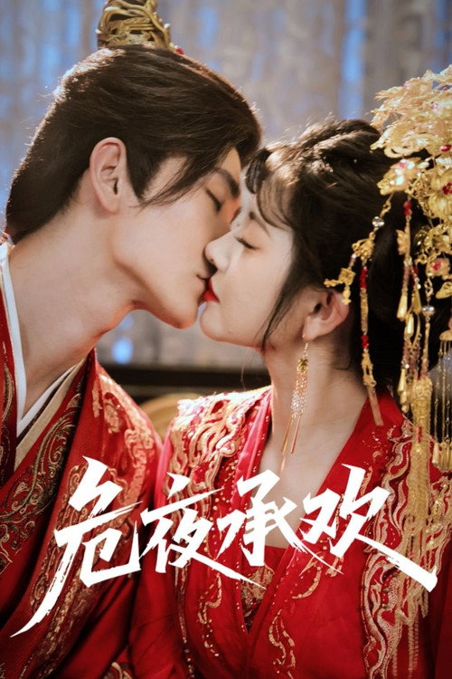 Embrace in Bloodied Night poster