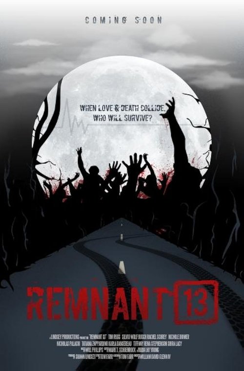 Remnant 13
