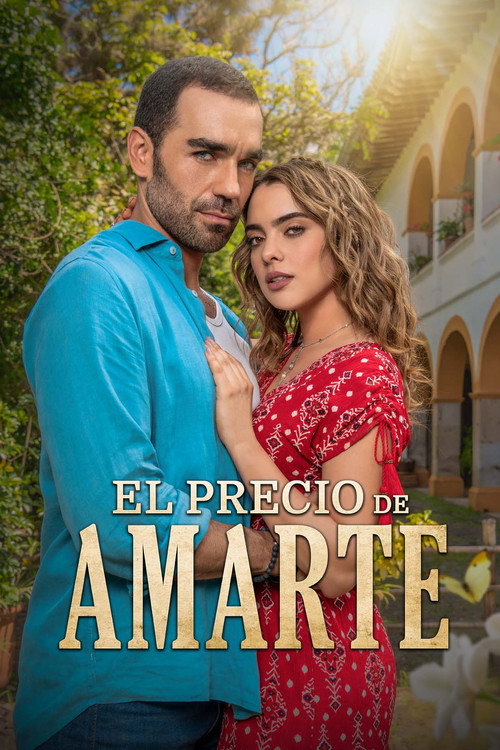 El precio de amarte poster