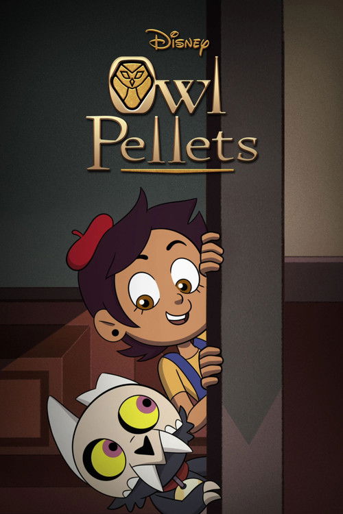 Owl Pellets poster
