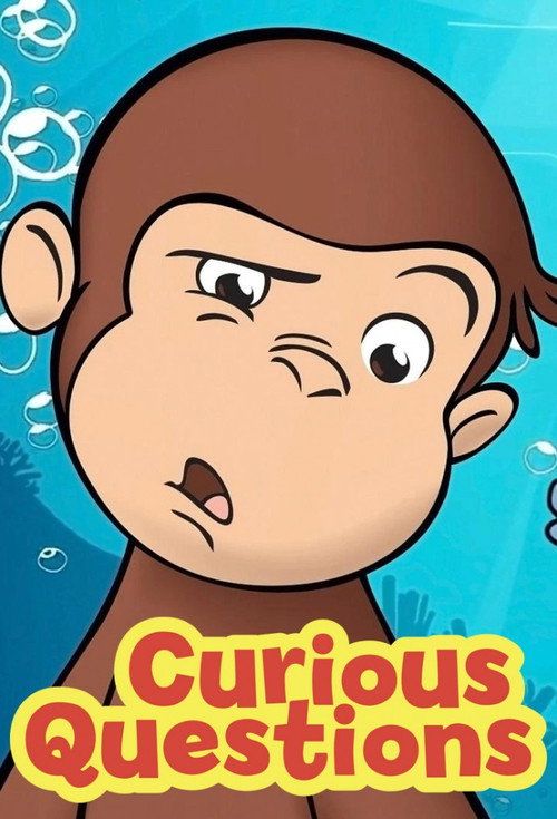 Curious Questions