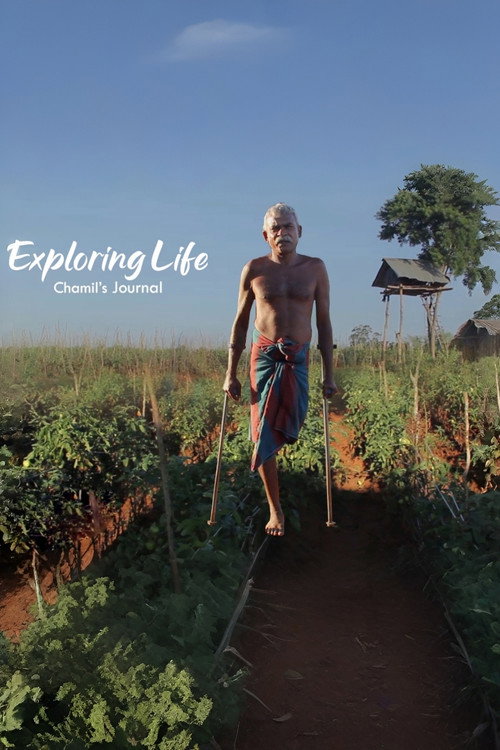 Exploring Life - Chamil's Journal