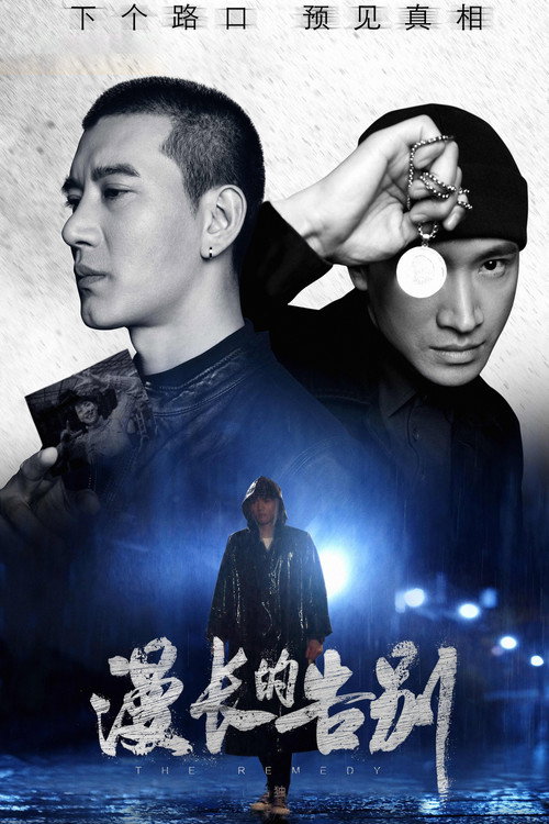The Remedy poster