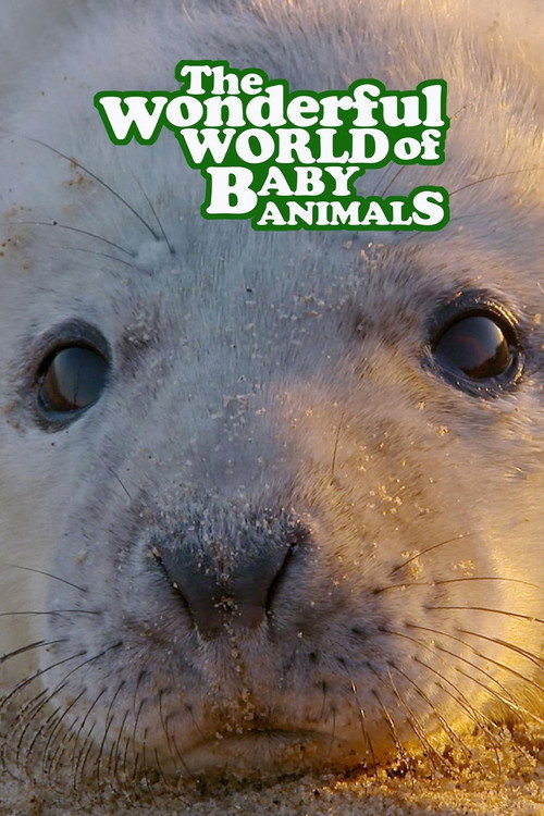The Wonderful World of Baby Animals poster