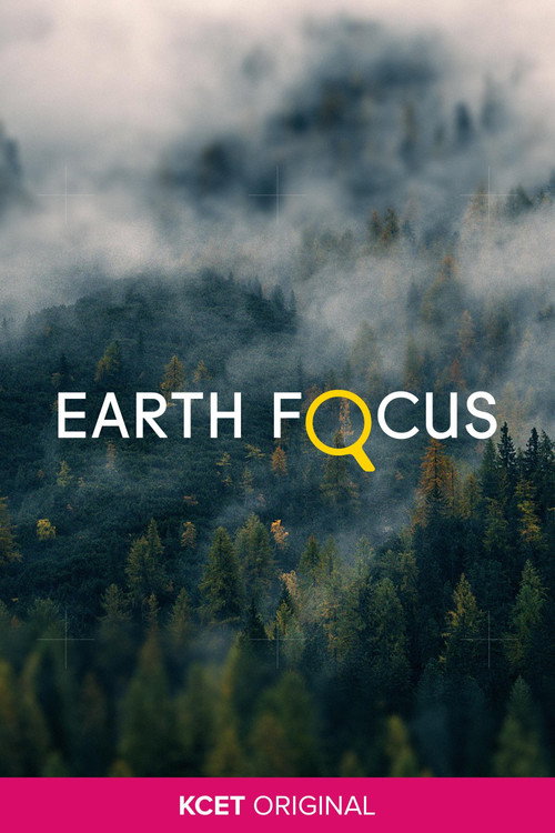 Earth Focus Shorts