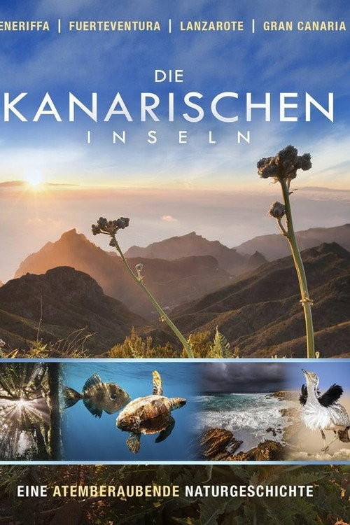 Wild Canarie poster