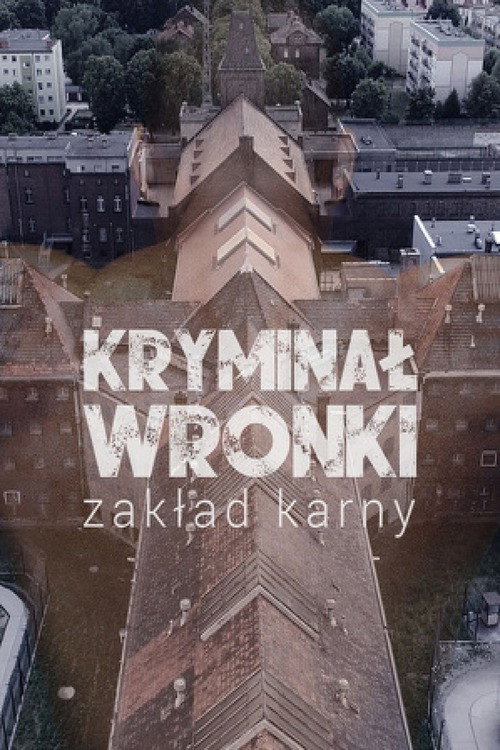 Kryminał Wronki
