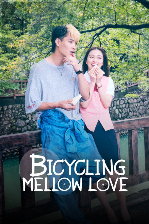 Bicycling Mellow Love poster