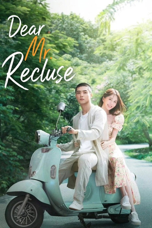 Dear Mr. Recluse poster